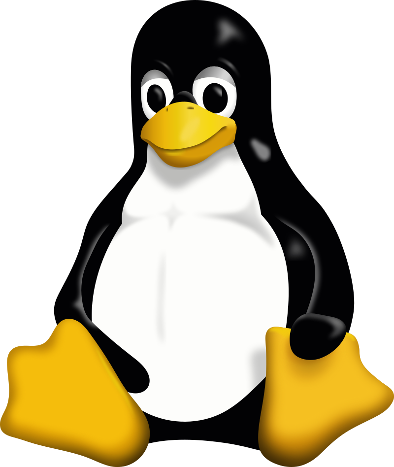 Linux Software Computer
